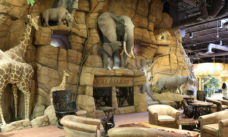 Kalahari Resort